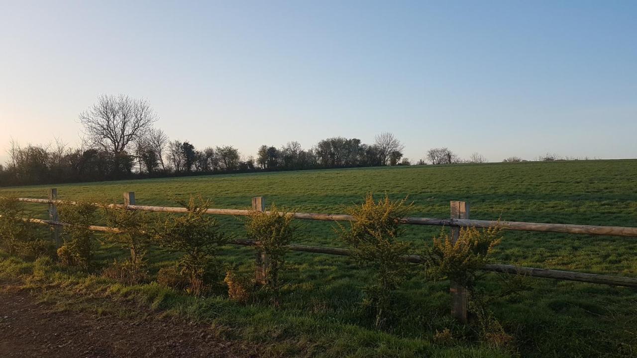 Le Domaine Des Roseraies, Monfréville Buitenkant foto